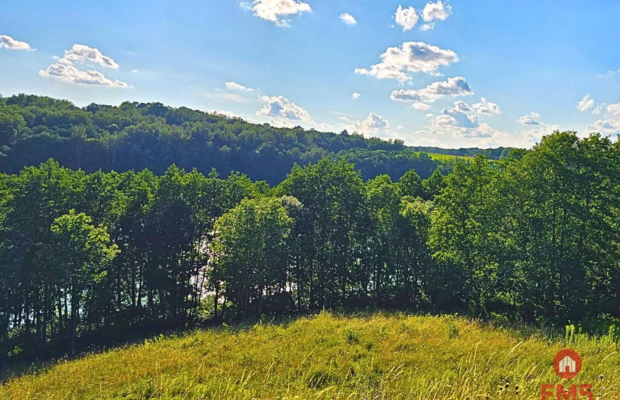 Działka budowlana pod usługi turystyczne - Mazury