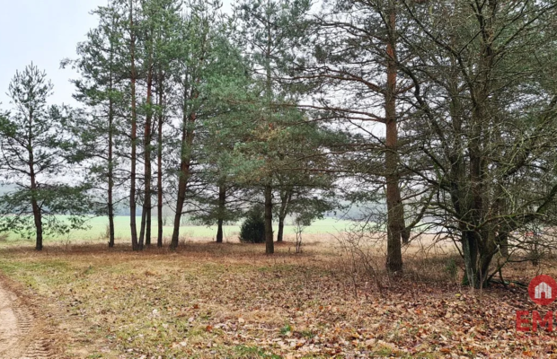 Działka 1743 m2, Pieńki