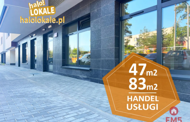 Nowe lokale do wynajęcia