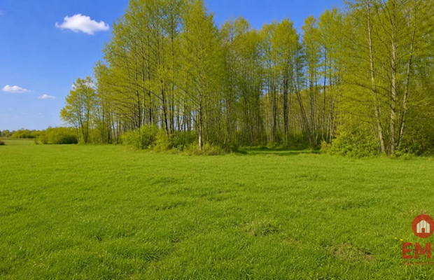 Działka rolno-budowlana 2,5 ha. Nowosiółki