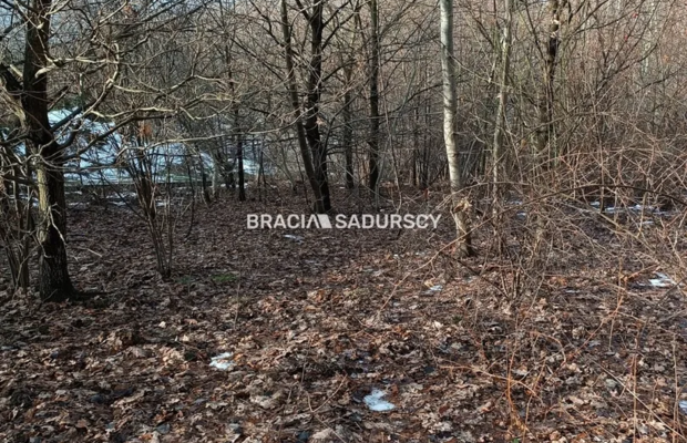 Duża działka inwestycyjna  w Czarnochowicach