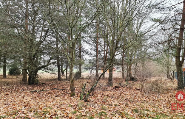 Działka 1900 m2. Pieńki