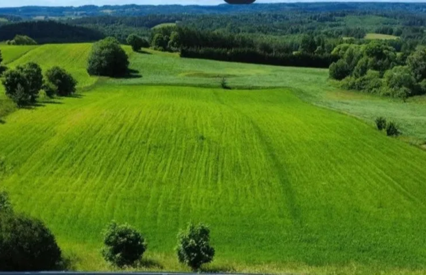 ATRAKCYJNA DZIAŁKA 8 964 m² – GULBIENISZKI