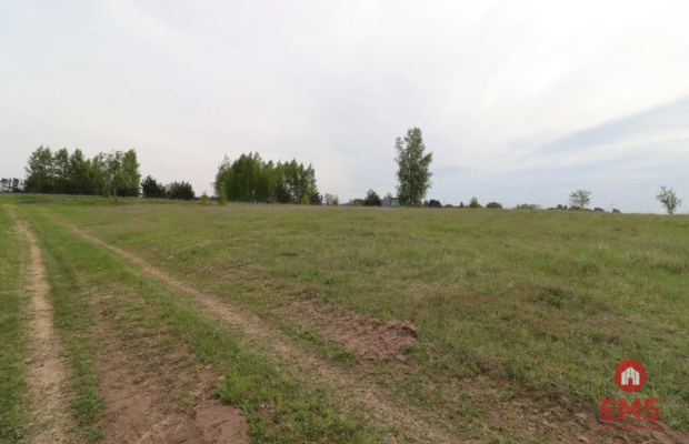 Działka rolno-budowlana w Pieckach