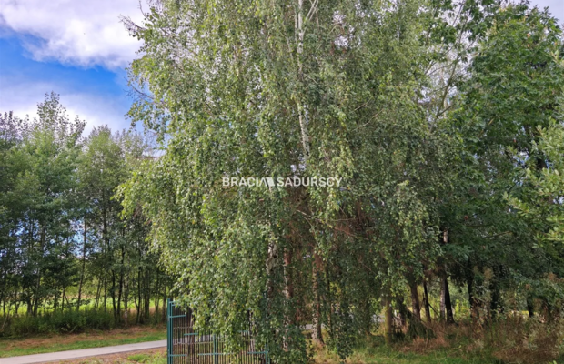 *zdjęcia należą do właściciela oferty.  
LEWNIOWA, GMINA GNOJNIK, DZIAŁKA BUDOWLANA POD ZABUDOWĘ JEDNORODZINNĄ I USŁUGOWĄ O POW