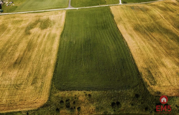 Działka - Żegary, gm. Sejny