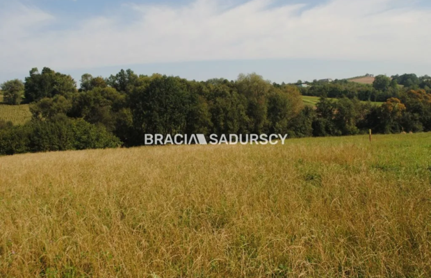 Okazja!!!Do sprzedania duża nieruchomość .