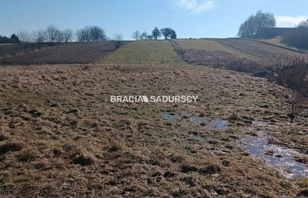 Duża działka budowlano-rolna w Bodzanowie