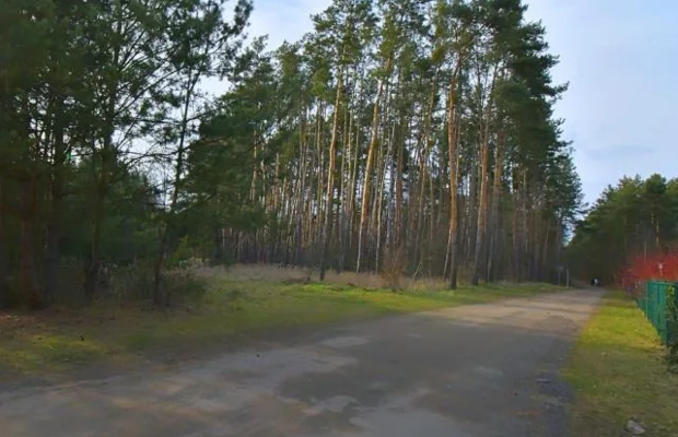 Piękna działka blisko lasu, Miłoszyce