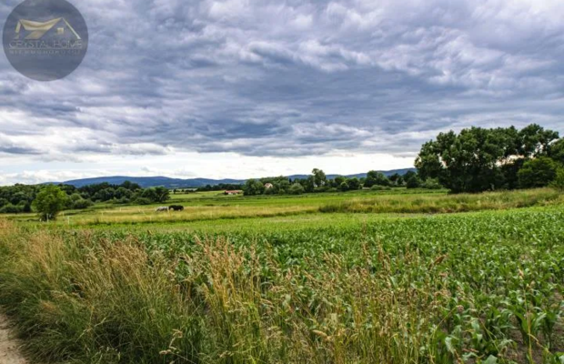 DZIAŁKA BUDOWLANA W GRODZISZCZU/ WIDOK NA GÓRY