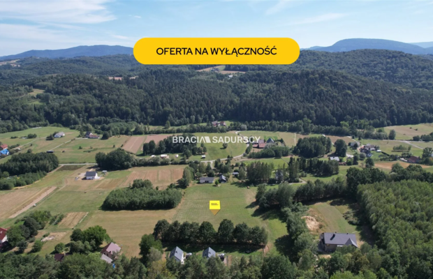 Działka 80 ar Budowlano-usługowa