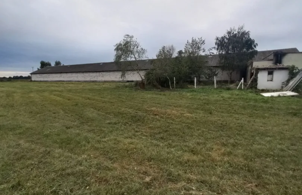 Grunt rolny 1,4ha, hala Kłębanowice/Polkowice