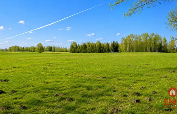 Działka rolno-budowlana 2,5 ha. Nowosiółki