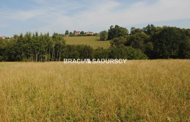 Okazja!!!Do sprzedania duża nieruchomość .