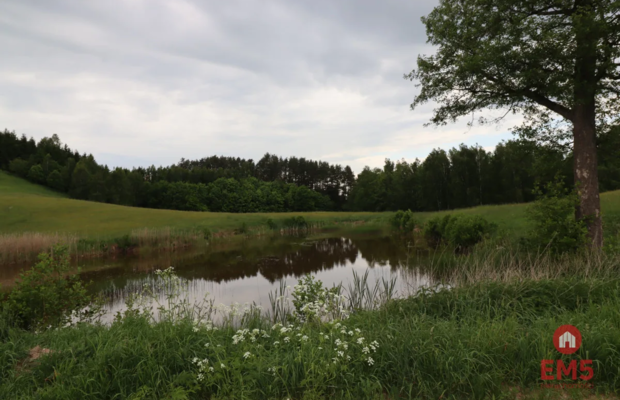 Dom wśród natury