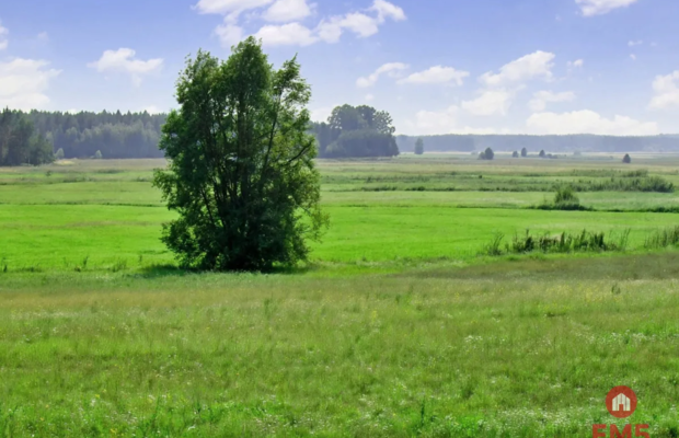 Piękne malownicze działki  z WZ, gmina Suraż