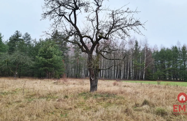 Działka 1900 m2. Pieńki