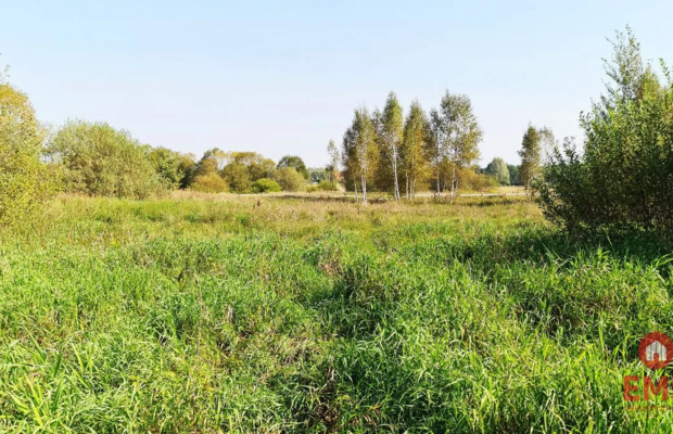 Ciasne. Działka budowlana 5100 m2.