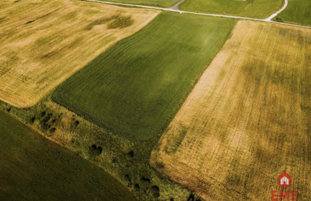 Działka - Żegary, gm. Sejny