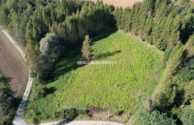 Działka budowlana 8900 m2 Poręba Żegoty