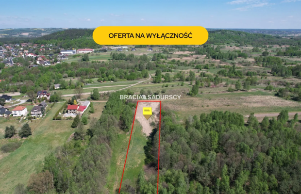 Panoramiczna Działka Rezydencjalna 53a z Widokiem na Babią Górę | Przeginia Narodowa 

  Ostatnia linia zabudowy, południowa ek