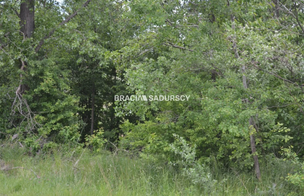 Działka w całości budowlana o pow.: 1313 m2