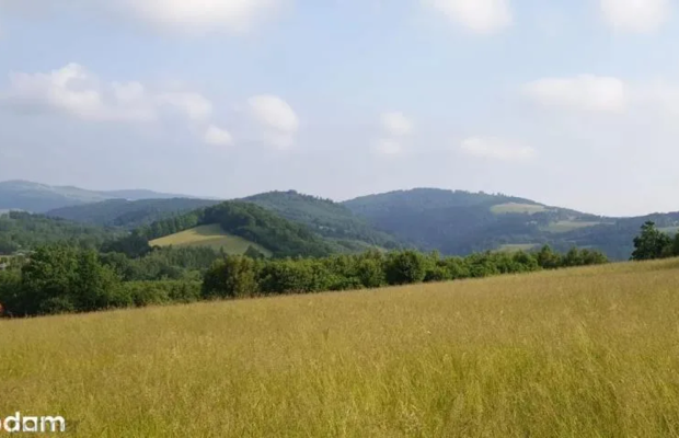 Działka w Górach Sowich