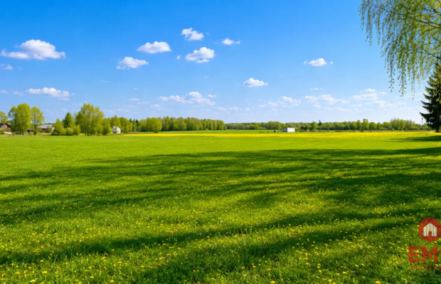 Działka rolno-budowlana 2,5 ha. Nowosiółki