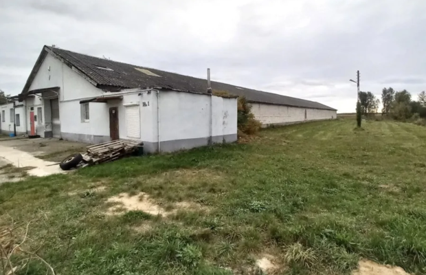 Grunt rolny 1,4ha, hala Kłębanowice/Polkowice