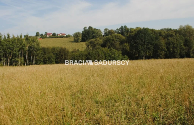 Okazja!!!Do sprzedania duża nieruchomość .