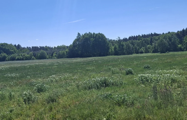 Działka 1,99ha | 84ar MPZP | Pogorzeliska