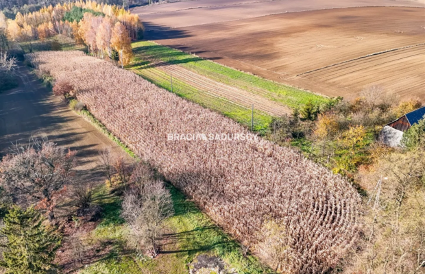 Działka budowlana / MPZP - MN3 / Przesławice