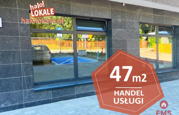 Nowe lokale do wynajęcia