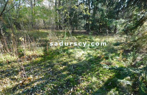 Ładna działka budowlano - inwestycyjna 4100m2 w Białym Ługu, gmina Prażmów, pow. piaseczyński.    
   
Cisza, zieleń, dobry dos