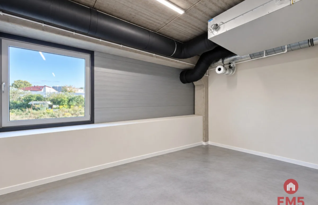Lokal użytkowy 100 m2