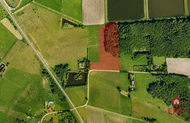 Działka rolno-budowlana 2,5 ha. Nowosiółki