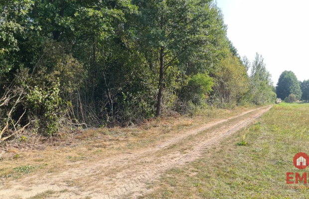 Ciasne. Działka budowlana 5100 m2.