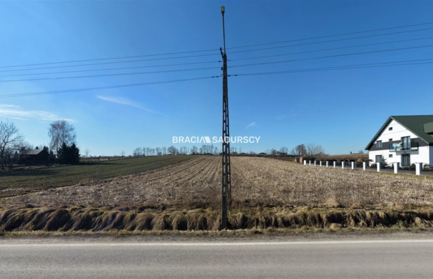 Działka Klimontów, Proszowice