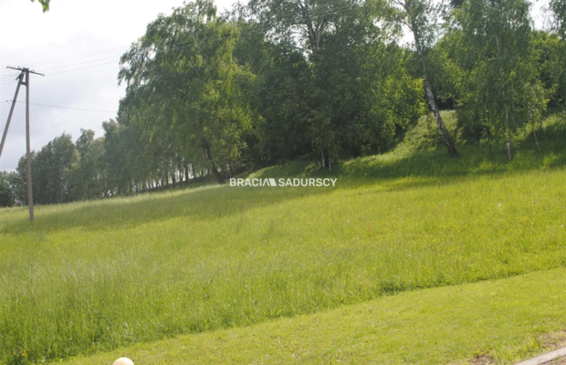  Gospodarstwo około 1,5 ha w Łazanach gm.Biskupice