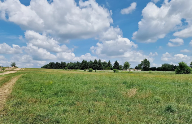 Widzew - działka budowlana z PnB o pow. 3000 m2