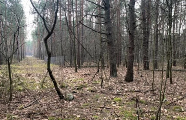 Sprzedam super działkę inwestycyjno-budowlaną .