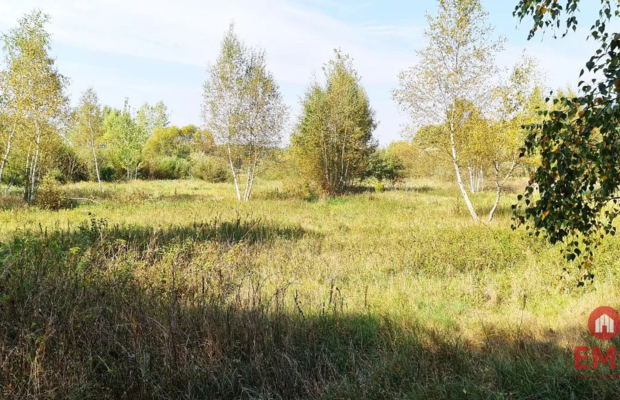 Ciasne. Działka budowlana 5100 m2.