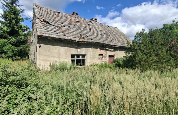 Przemków | Duża działka 2 641 m² z zabudową |