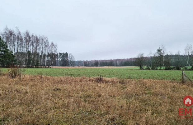 Działka 1743 m2, Pieńki