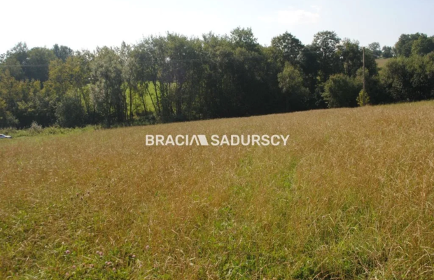 Okazja!!!Do sprzedania duża nieruchomość .