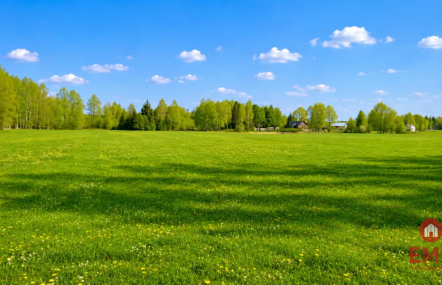 Działka rolno-budowlana 2,5 ha. Nowosiółki