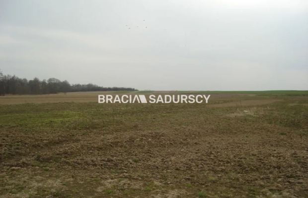 *Zdjęcia należą do właściciela oferty.   
 
Działka inwestycyjna 100 arowa leżąca na terenie przemysłowym w Morawicy. Media: ka