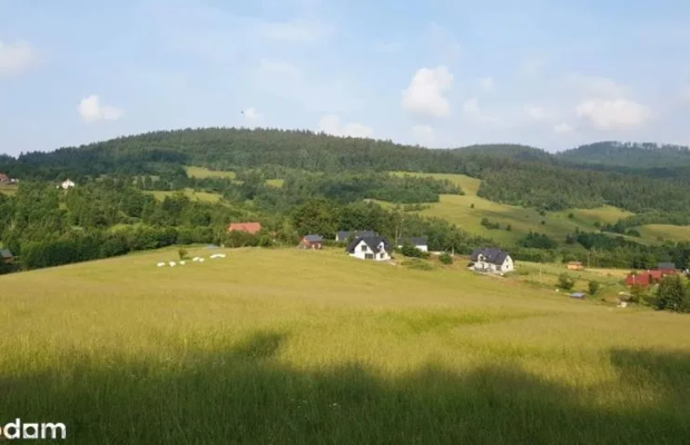 Działka w Górach Sowich
