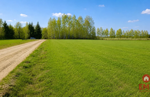 Działka rolno-budowlana 2,5 ha. Nowosiółki