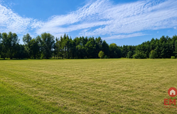 Działka 4400 m2, Szudziałowo